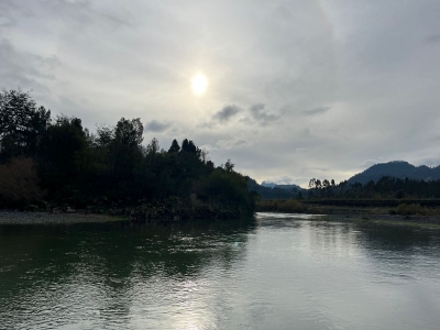 CentroCasas.cl Venta de Parcela en Valdivia, RINILAHUE